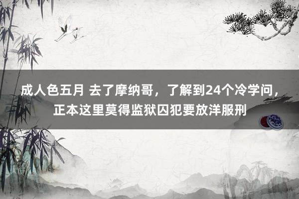 成人色五月 去了摩纳哥，了解到24个冷学问，正本这里莫得监狱囚犯要放洋服刑