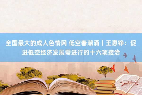 全国最大的成人色情网 低空春潮涌丨王惠铮：促进低空经济发展需进行的十六项接洽