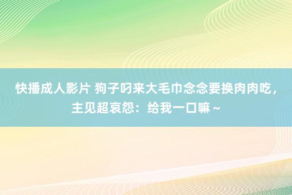 快播成人影片 狗子叼来大毛巾念念要换肉肉吃，主见超哀怨：给我一口嘛～