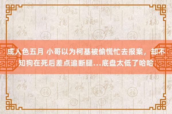 成人色五月 小哥以为柯基被偷慌忙去报案，却不知狗在死后差点追断腿…底盘太低了哈哈