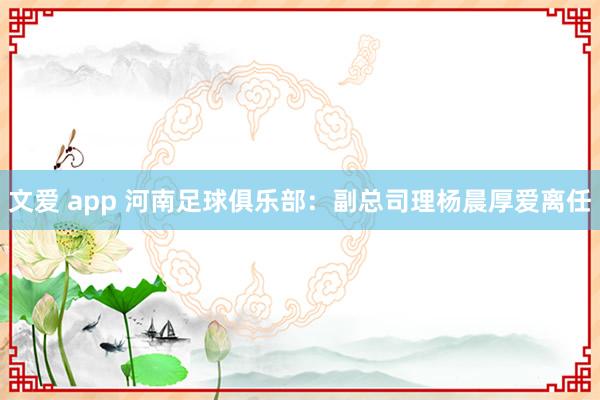 文爱 app 河南足球俱乐部：副总司理杨晨厚爱离任