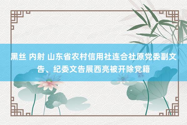 黑丝 内射 山东省农村信用社连合社原党委副文告、纪委文告展西亮被开除党籍