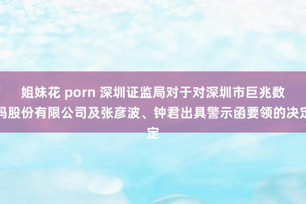 姐妹花 porn 深圳证监局对于对深圳市巨兆数码股份有限公司及张彦波、钟君出具警示函要领的决定