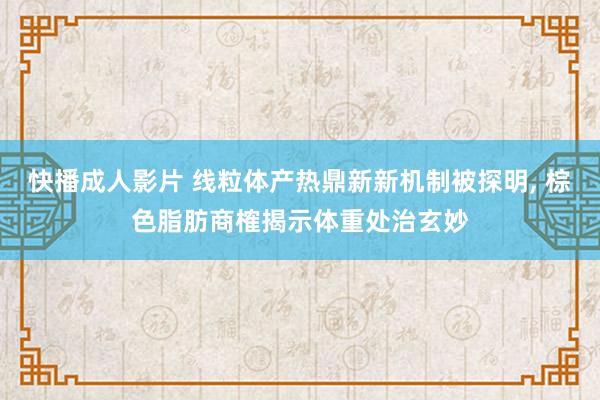 快播成人影片 线粒体产热鼎新新机制被探明， 棕色脂肪商榷揭示体重处治玄妙