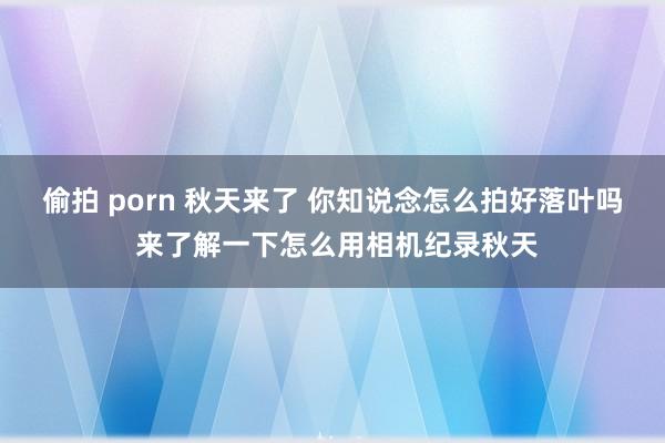 偷拍 porn 秋天来了 你知说念怎么拍好落叶吗 来了解一下怎么用相机纪录秋天