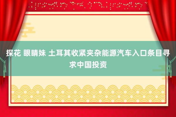 探花 眼睛妹 土耳其收紧夹杂能源汽车入口条目寻求中国投资