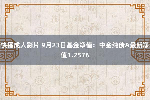 快播成人影片 9月23日基金净值：中金纯债A最新净值1.2576