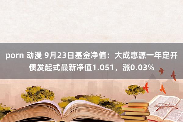 porn 动漫 9月23日基金净值：大成惠源一年定开债发起式最新净值1.051，涨0.03%