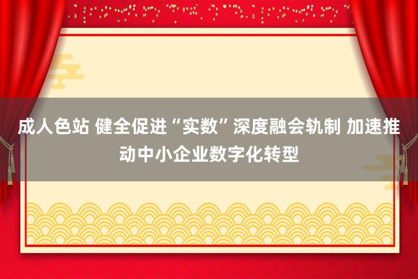 成人色站 健全促进“实数”深度融会轨制 加速推动中小企业数字化转型