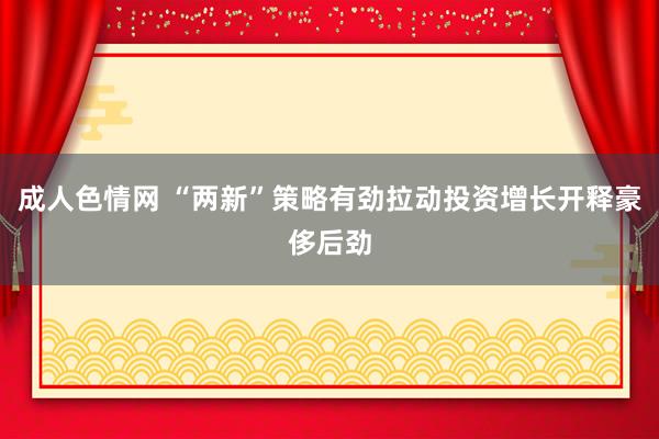 成人色情网 “两新”策略有劲拉动投资增长开释豪侈后劲