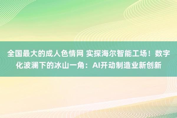 全国最大的成人色情网 实探海尔智能工场！数字化波澜下的冰山一角：AI开动制造业新创新