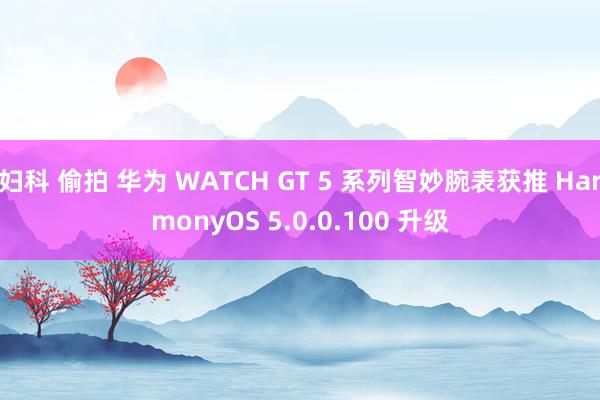 妇科 偷拍 华为 WATCH GT 5 系列智妙腕表获推 HarmonyOS 5.0.0.100 升级