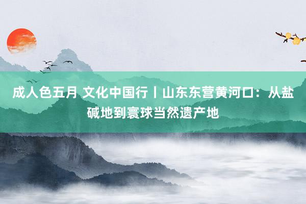 成人色五月 文化中国行丨山东东营黄河口：从盐碱地到寰球当然遗产地