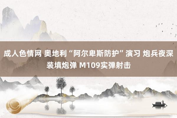 成人色情网 奥地利“阿尔卑斯防护”演习 炮兵夜深装填炮弹 M109实弹射击