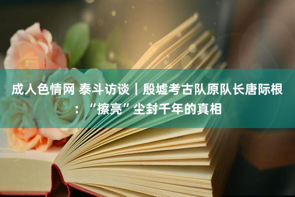 成人色情网 泰斗访谈｜殷墟考古队原队长唐际根：“擦亮”尘封千年的真相