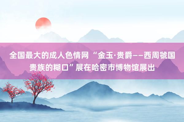 全国最大的成人色情网 “金玉·贵爵——西周虢国贵族的糊口”展在哈密市博物馆展出