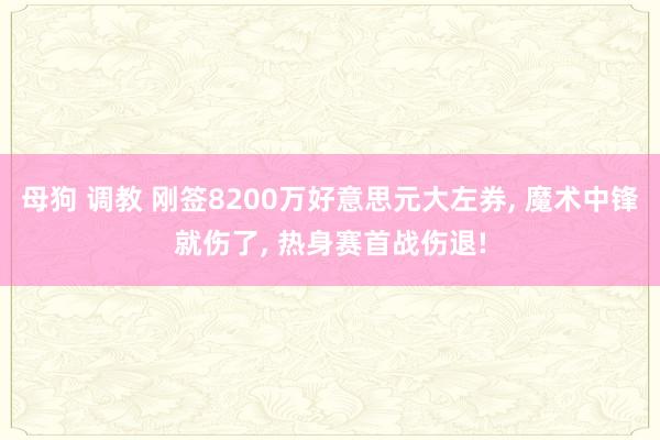 母狗 调教 刚签8200万好意思元大左券， 魔术中锋就伤了， 热身赛首战伤退!