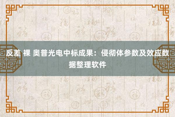 反差 裸 奥普光电中标成果：侵彻体参数及效应数据整理软件