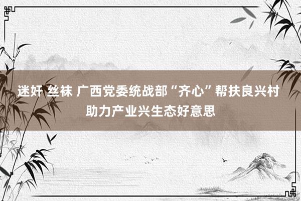 迷奸 丝袜 广西党委统战部“齐心”帮扶良兴村 助力产业兴生态好意思