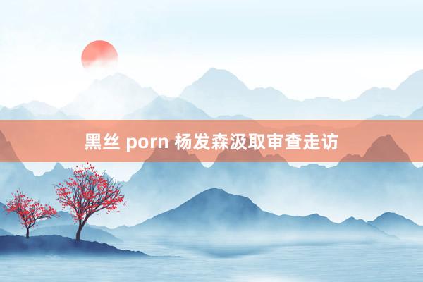 黑丝 porn 杨发森汲取审查走访