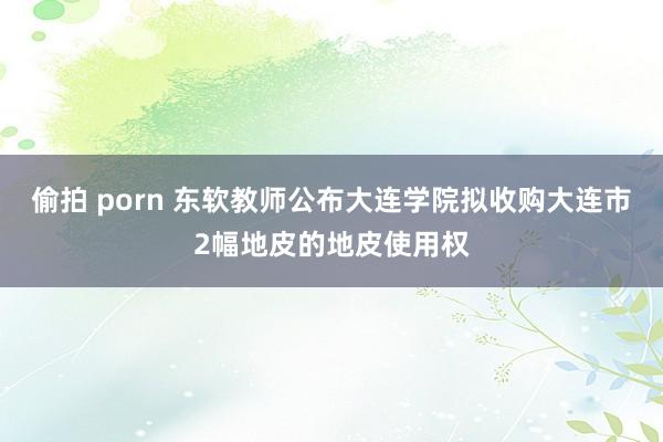 偷拍 porn 东软教师公布大连学院拟收购大连市2幅地皮的地皮使用权