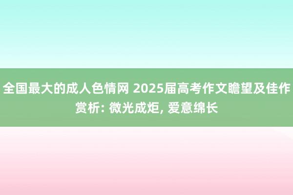 全国最大的成人色情网 2025届高考作文瞻望及佳作赏析: 微光成炬， 爱意绵长