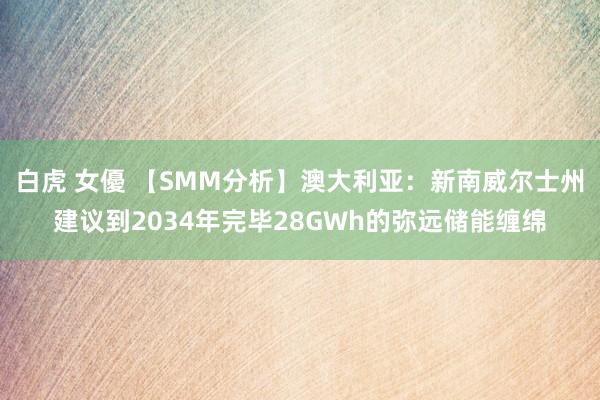 白虎 女優 【SMM分析】澳大利亚：新南威尔士州建议到2034年完毕28GWh的弥远储能缠绵