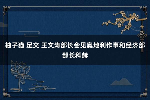 柚子猫 足交 王文涛部长会见奥地利作事和经济部部长科赫