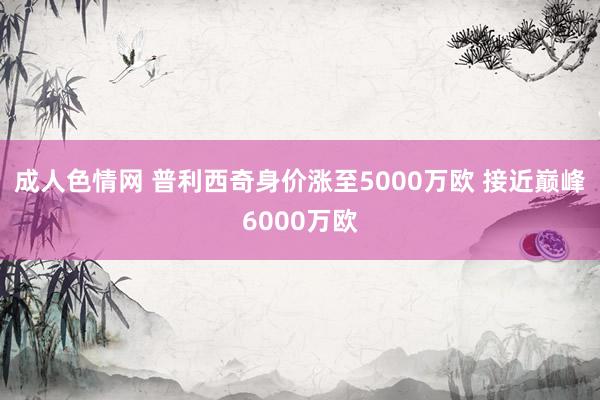 成人色情网 普利西奇身价涨至5000万欧 接近巅峰6000万欧