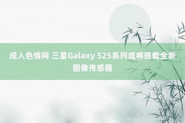 成人色情网 三星Galaxy S25系列或将搭载全新图像传感器