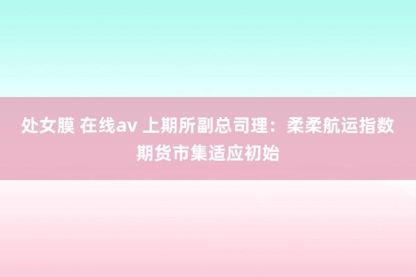 处女膜 在线av 上期所副总司理：柔柔航运指数期货市集适应初始