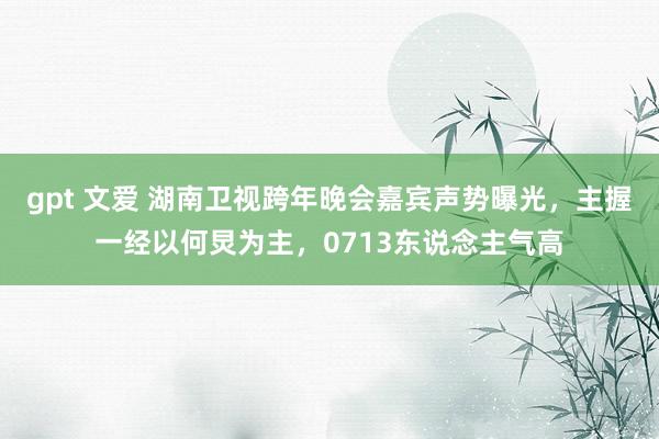 gpt 文爱 湖南卫视跨年晚会嘉宾声势曝光，主握一经以何炅为主，0713东说念主气高