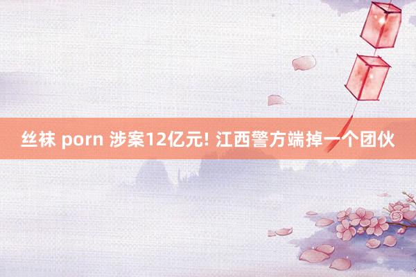 丝袜 porn 涉案12亿元! 江西警方端掉一个团伙