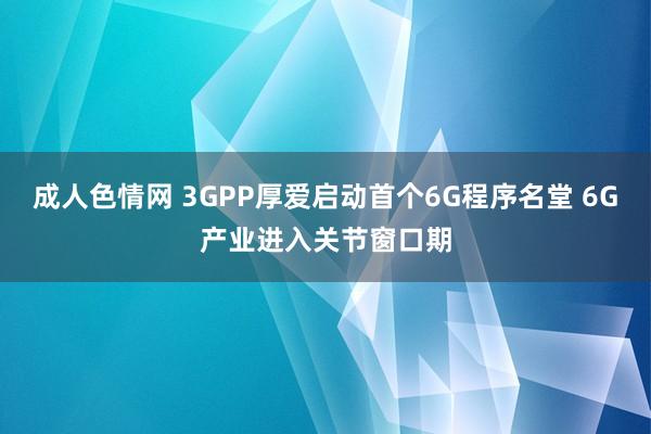 成人色情网 3GPP厚爱启动首个6G程序名堂 6G产业进入关节窗口期