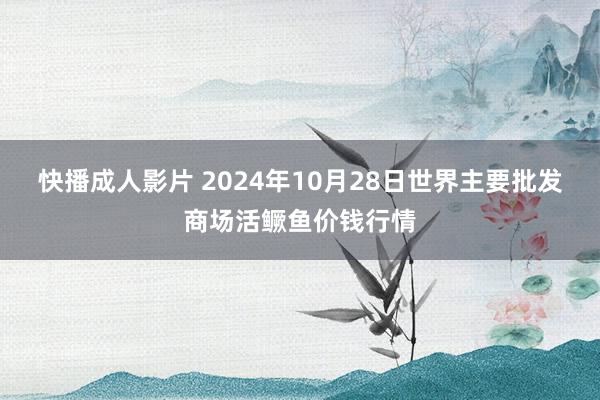 快播成人影片 2024年10月28日世界主要批发商场活鳜鱼价钱行情