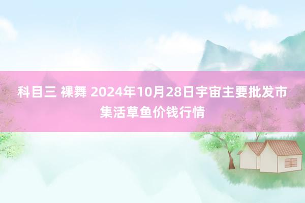 科目三 裸舞 2024年10月28日宇宙主要批发市集活草鱼价钱行情