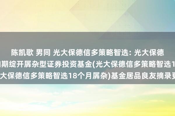 陈凯歌 男同 光大保德信多策略智选: 光大保德信多策略智选18个月如期绽开羼杂型证券投资基金(光大保德信多策略智选18个月羼杂)基金居品良友摘录更新