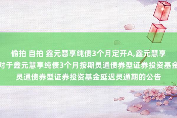 偷拍 自拍 鑫元慧享纯债3个月定开A，鑫元慧享纯债3个月定开C: 对于鑫元慧享纯债3个月按期灵通债券型证券投资基金延迟灵通期的公告