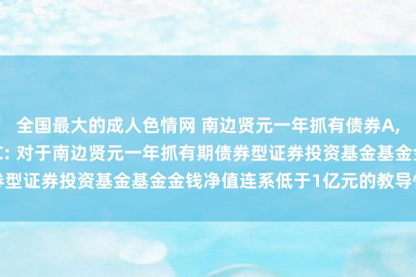 全国最大的成人色情网 南边贤元一年抓有债券A，南边贤元一年抓有债券C: 对于南边贤元一年抓有期债券型证券投资基金基金金钱净值连系低于1亿元的教导性公告