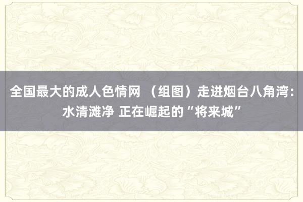 全国最大的成人色情网 （组图）走进烟台八角湾：水清滩净 正在崛起的“将来城”