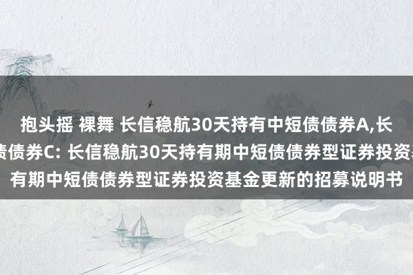 抱头摇 裸舞 长信稳航30天持有中短债债券A，长信稳航30天持有中短债债券C: 长信稳航30天持有期中短债债券型证券投资基金更新的招募说明书