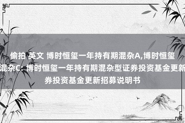 偷拍 英文 博时恒玺一年持有期混杂A，博时恒玺一年持有期混杂C: 博时恒玺一年持有期混杂型证券投资基金更新招募说明书