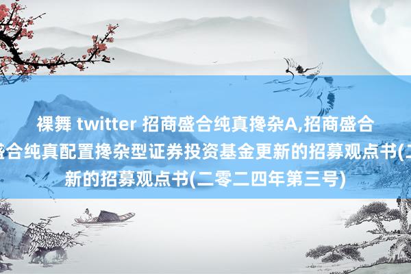 裸舞 twitter 招商盛合纯真搀杂A，招商盛合纯真搀杂C: 招商盛合纯真配置搀杂型证券投资基金更新的招募观点书(二零二四年第三号)