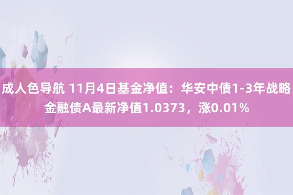 成人色导航 11月4日基金净值：华安中债1-3年战略金融债A最新净值1.0373，涨0.01%