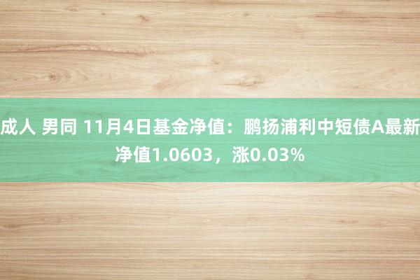 成人 男同 11月4日基金净值：鹏扬浦利中短债A最新净值1.0603，涨0.03%