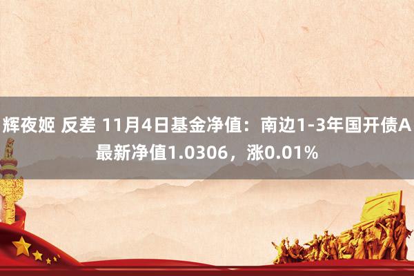 辉夜姬 反差 11月4日基金净值：南边1-3年国开债A最新净值1.0306，涨0.01%