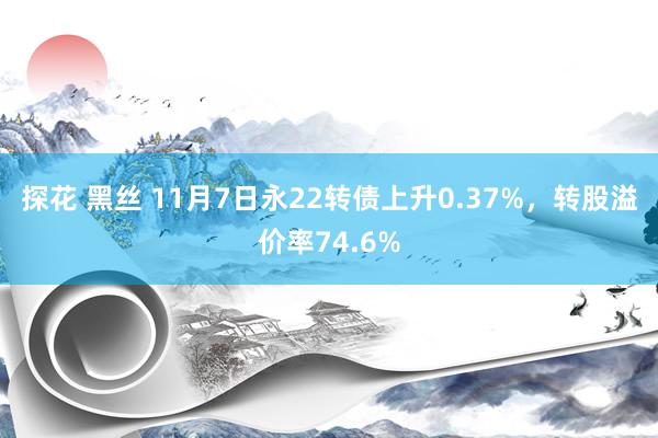 探花 黑丝 11月7日永22转债上升0.37%，转股溢价率74.6%