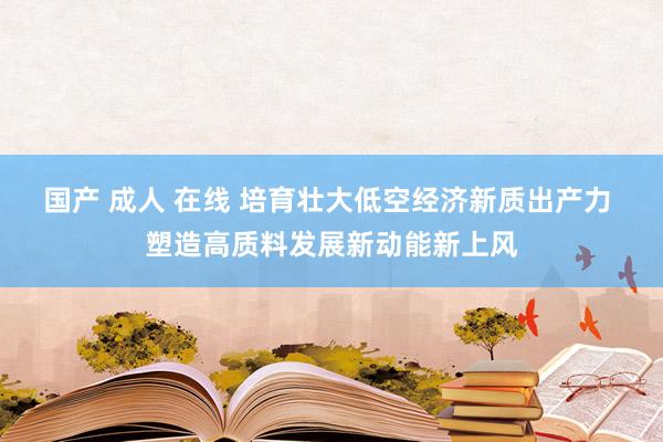 国产 成人 在线 培育壮大低空经济新质出产力 塑造高质料发展新动能新上风