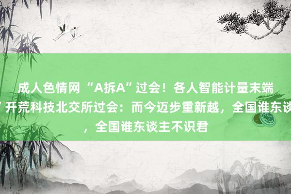 成人色情网 “A拆A”过会！各人智能计量末端“矫正者”开荒科技北交所过会：而今迈步重新越，全国谁东谈主不识君