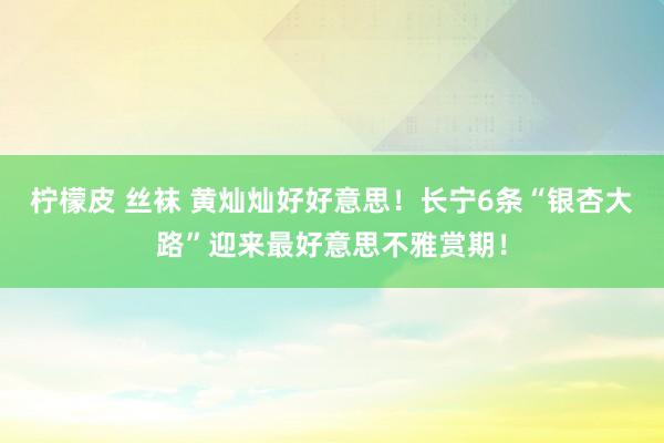 柠檬皮 丝袜 黄灿灿好好意思！长宁6条“银杏大路”迎来最好意思不雅赏期！